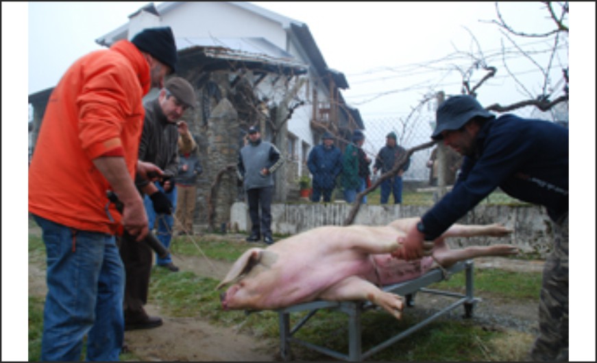 Carne para todos os gostos