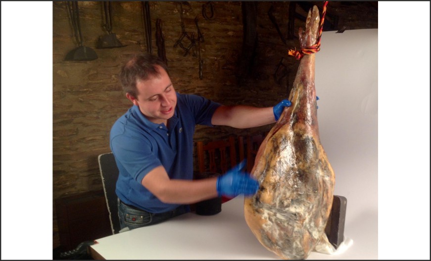 Presunto bísaro com 32 Kg