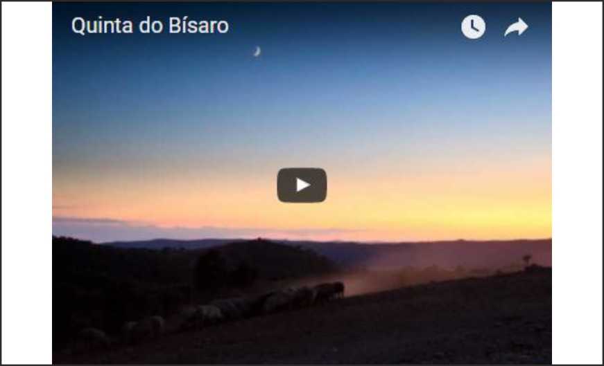 Fique a conhecer a Quinta do Bísaro
