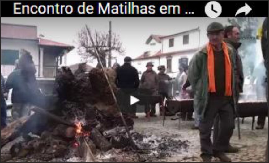 1ª feira do porco bísaro em Castro Vicente