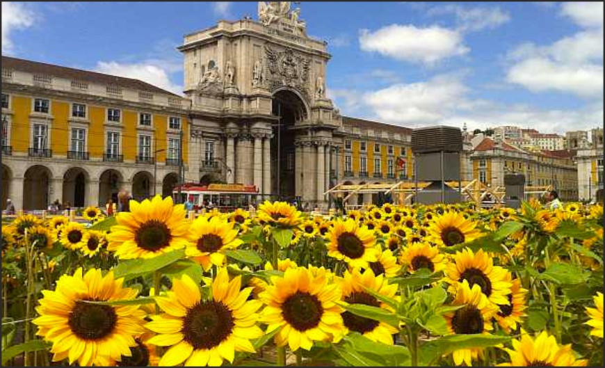 Mega Pic-Nic Continente Terreiro do Paço dia 29 de Junho 2013 