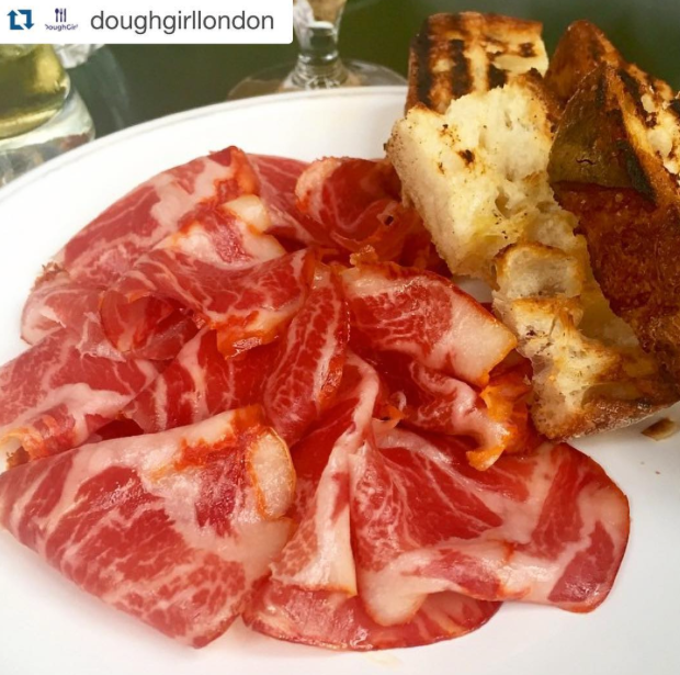 cacha&ccedil;o de porco b&iacute;saro