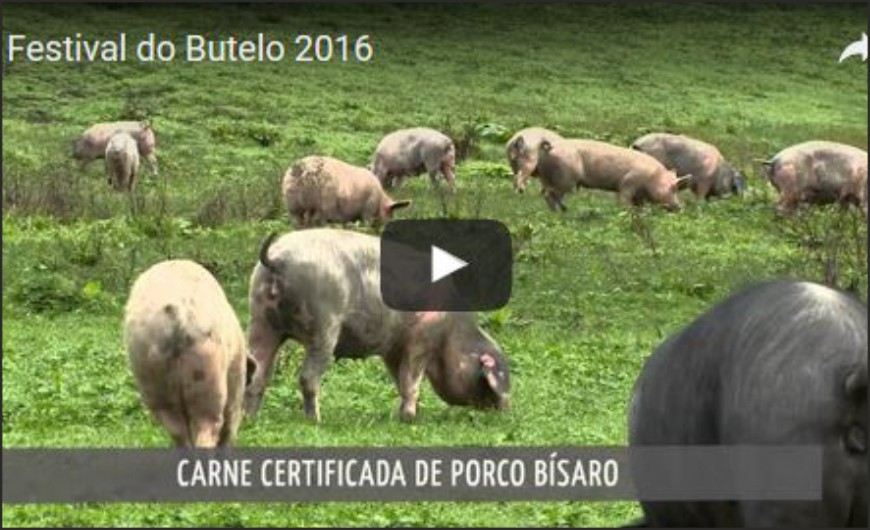 Festival do Butelo 2016