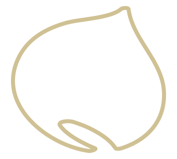 Carne de B&iacute;saro
