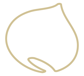 Porco B&iacute;saro